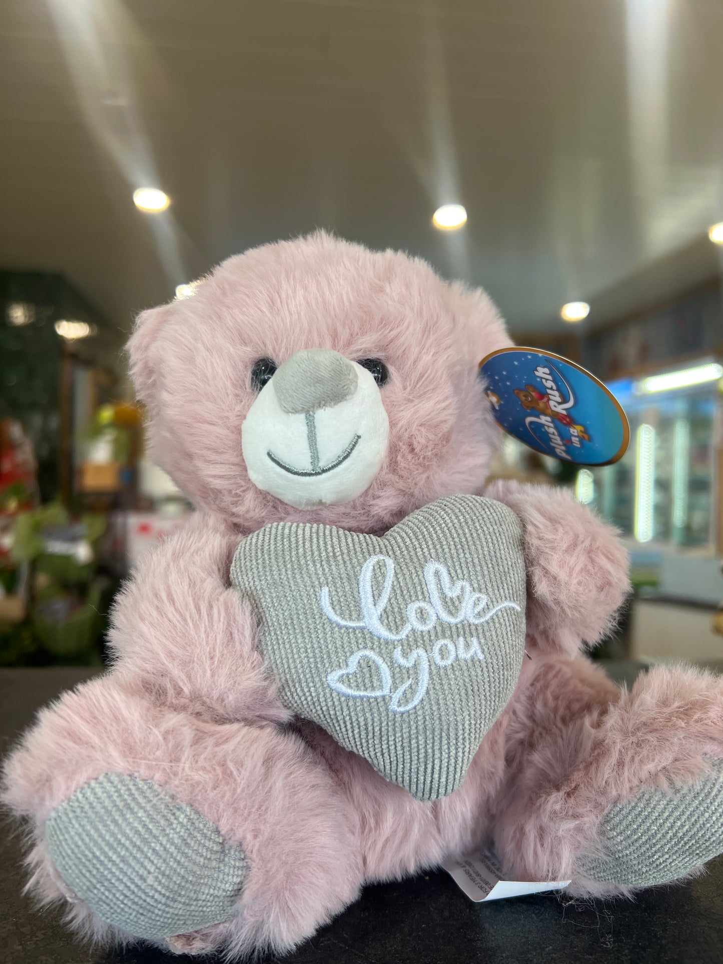 7” Dusty Pink Valentines Bear
