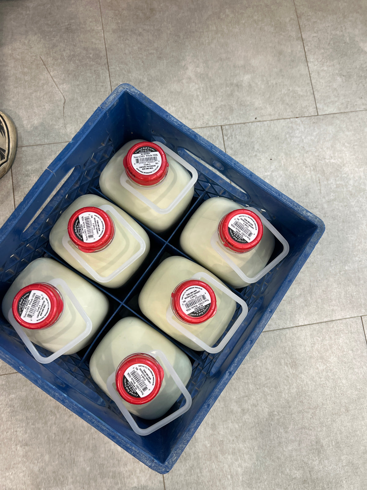 Crystal Ball Whole Milk