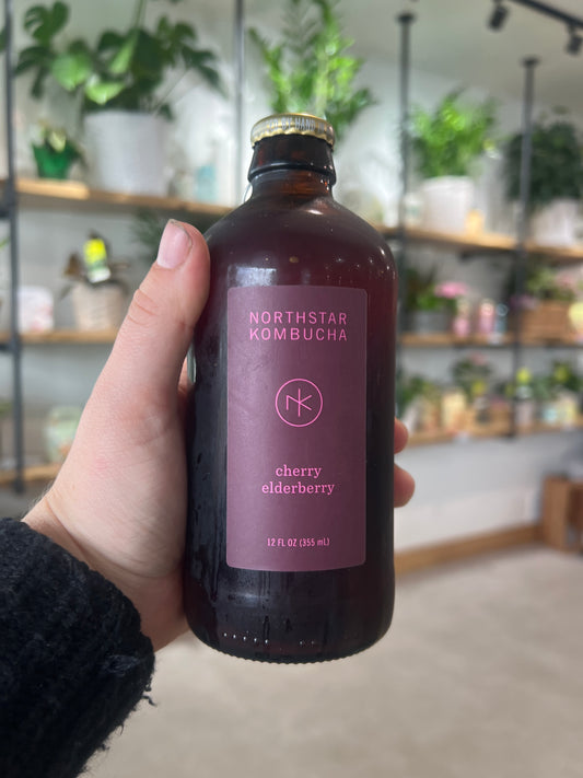North Star Kombucha Cherry Elderberry