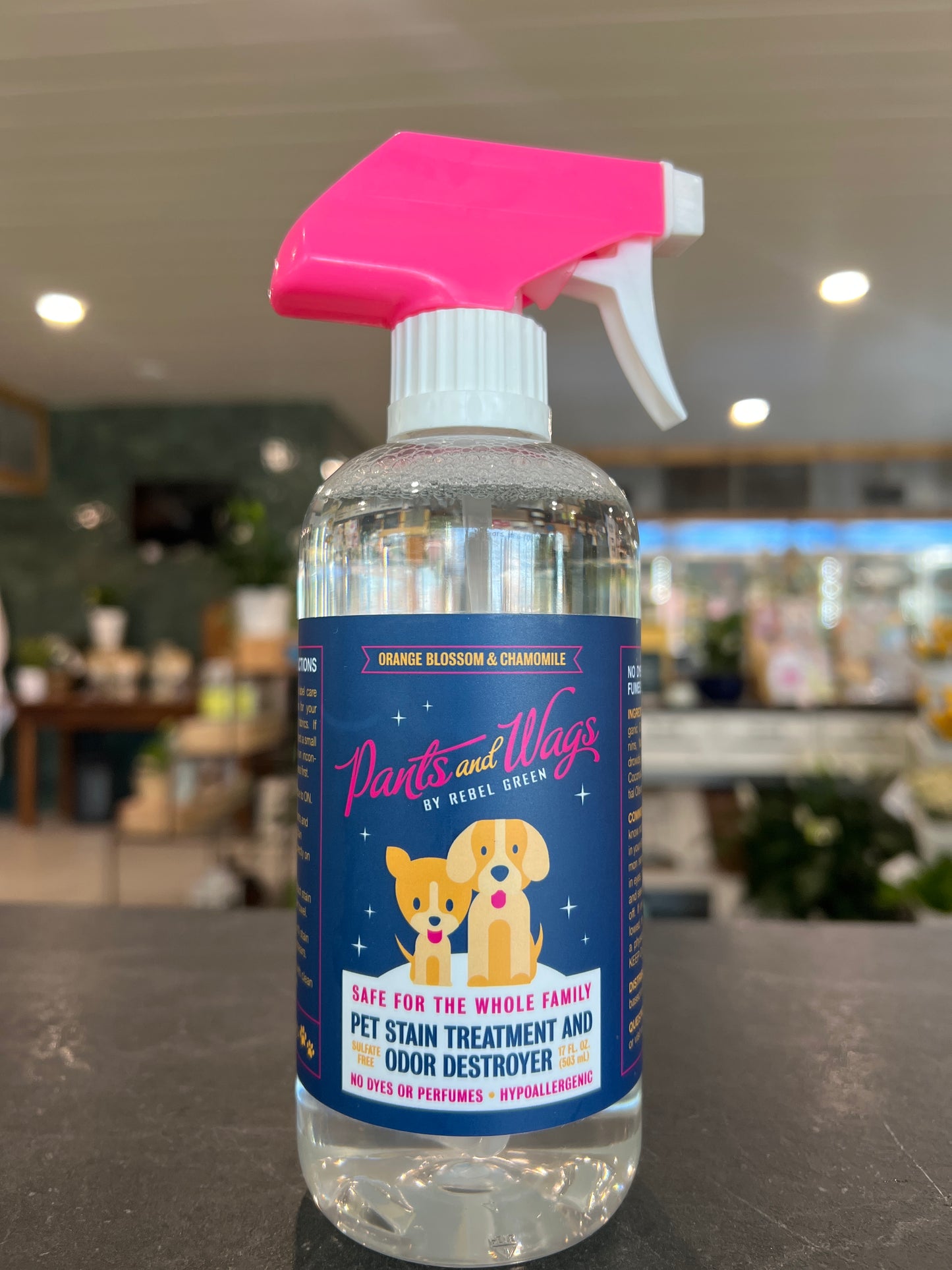 Rebel Green Pet Stain Treatment and Odor Destroyer
