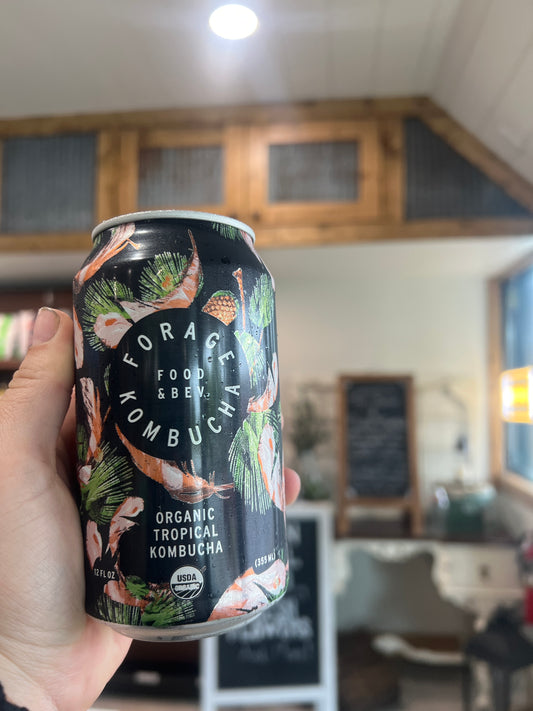Forage Tropical Kombucha