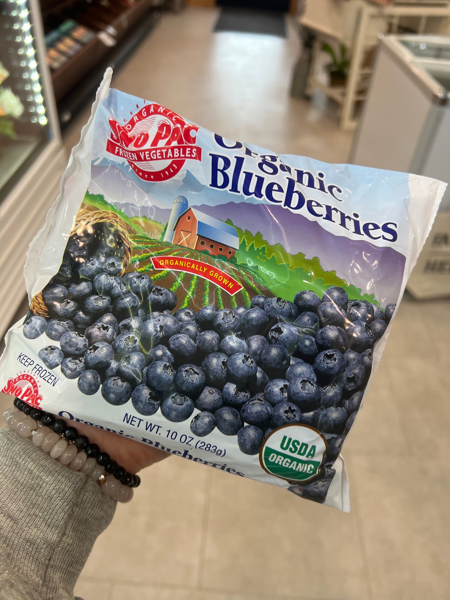 Sno Pac Organic Blueberries
