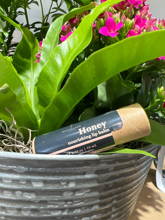 Dandelion Honey Lip Balm