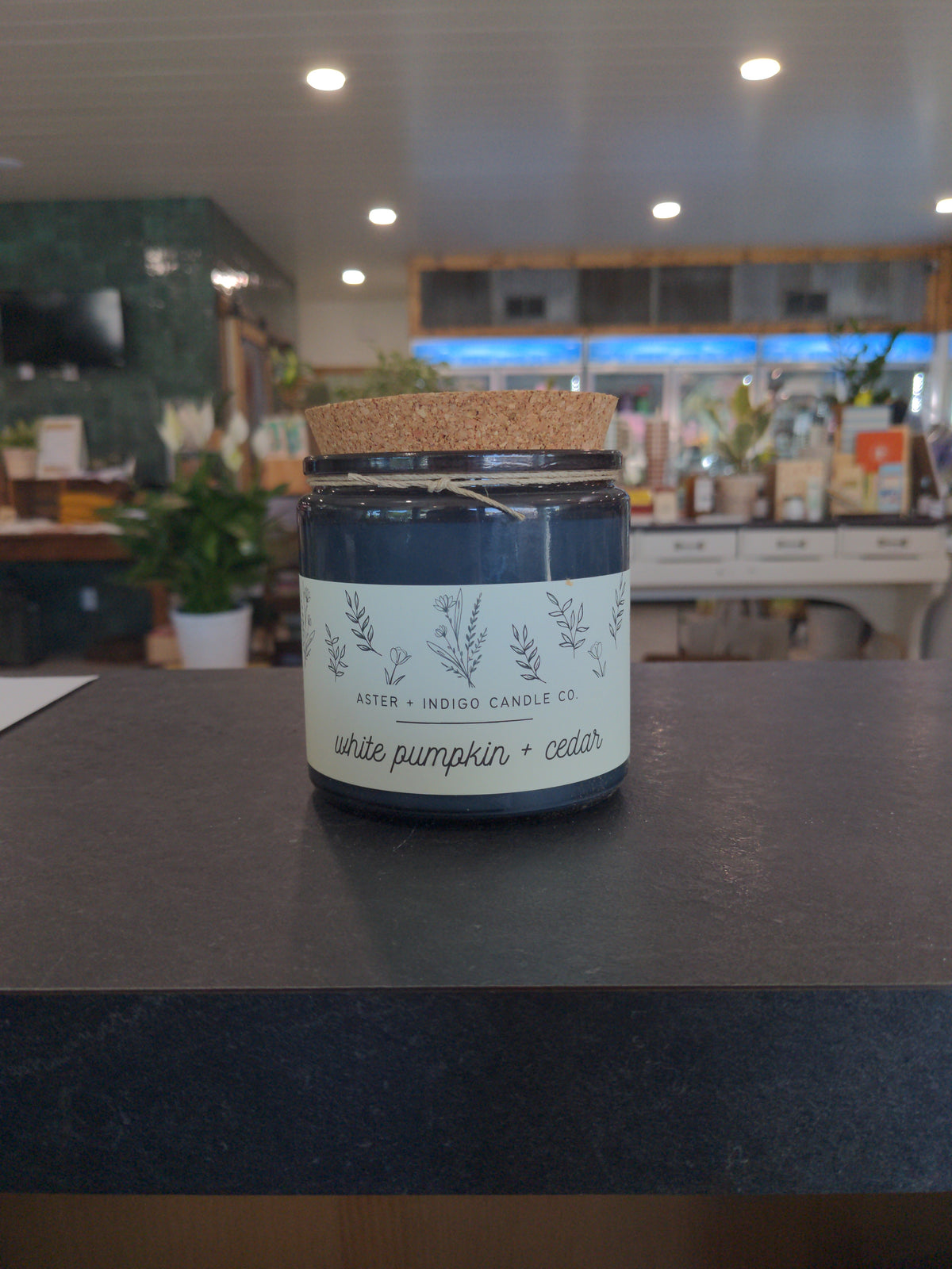 A+ I Candles- White Pumpkin + Cedar